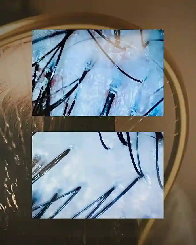 WhatsAppImage2025-11-12at10.24.21PM2-ezgif.com-jpg-to-webp-converter