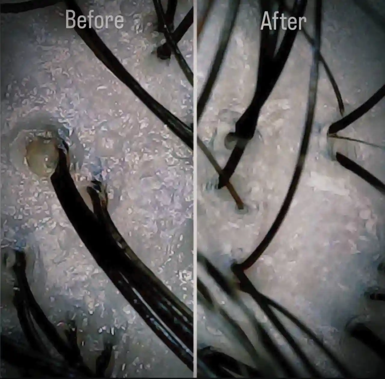 WhatsAppImage2025-11-12at10.24.22PM-ezgif.com-jpg-to-webp-converter